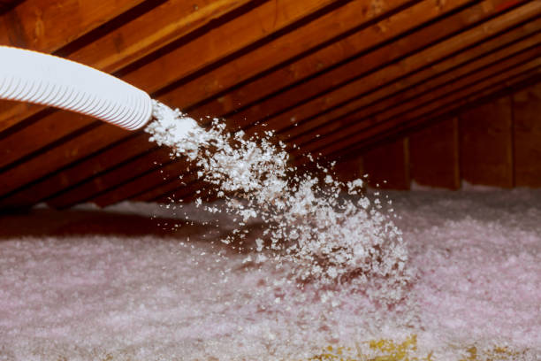 Best Commercial Insulation Services  in Litchfield, IL