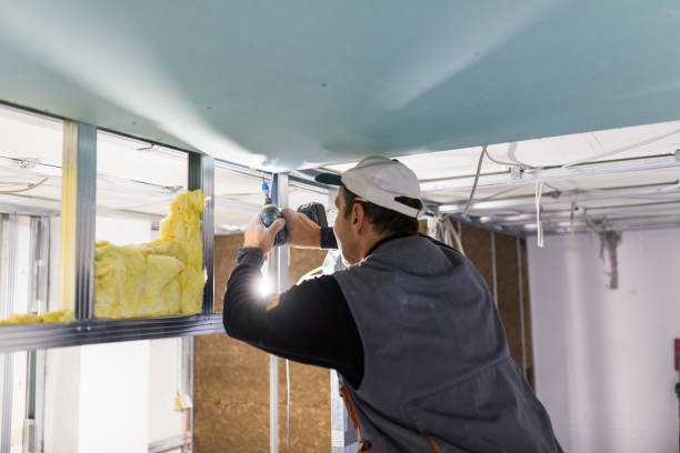 Best Spray Foam Insulation  in Litchfield, IL