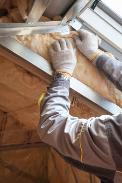 Best Pipe and Duct Insulation  in Litchfield, IL