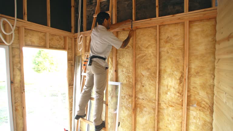 Best Insulation Air Sealing  in Litchfield, IL