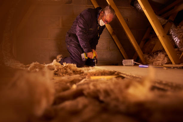 Types of Insulation We Offer in Litchfield, IL