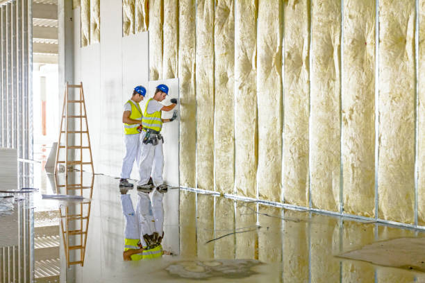 Best Soundproof Insulation  in Litchfield, IL